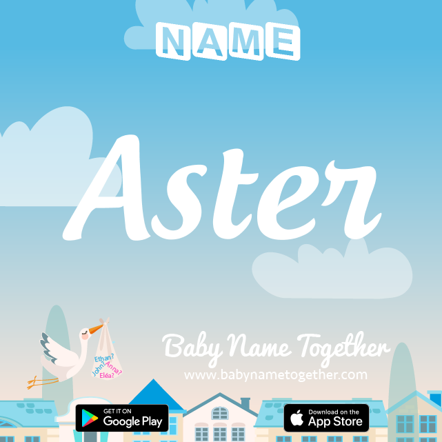 Name Aster : Meaning, Origin & Popularity