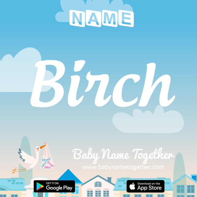 Name Birch : Meaning, Origin & Popularity