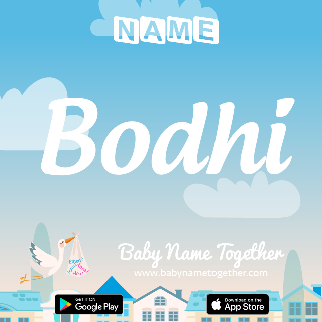 Name Bodhi : Meaning, Origin & Popularity