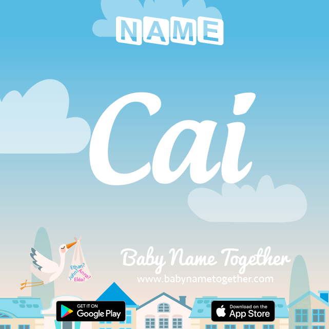 Name Cai : Meaning, Origin & Popularity