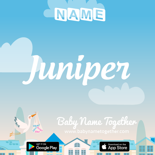 Name Juniper : Meaning, Origin & Popularity
