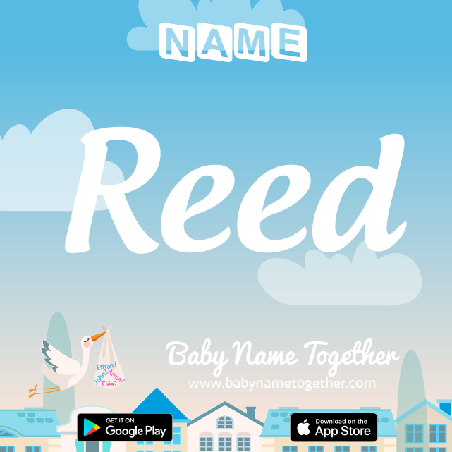 Name Reed : Meaning, Origin & Popularity