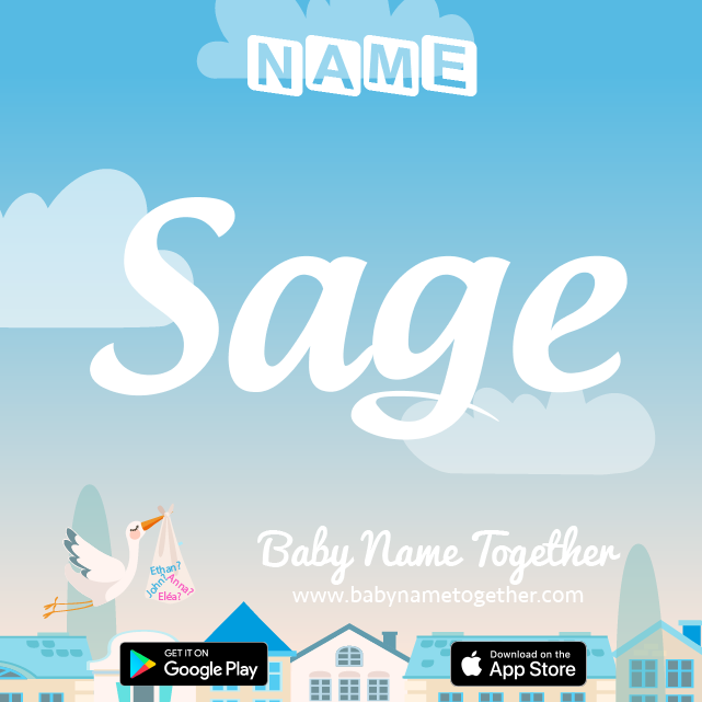 Name Sage : Meaning, Origin & Popularity
