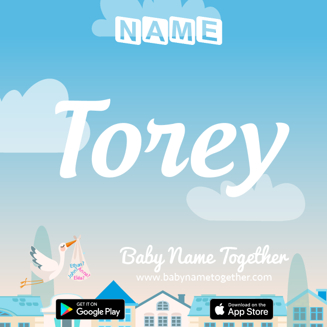 Name Torey : Meaning, Origin & Popularity