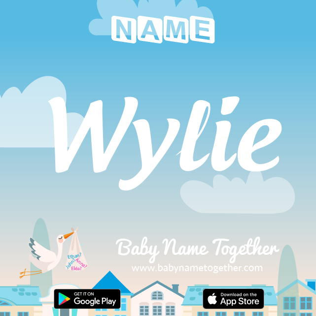 Name Wylie : Meaning, Origin & Popularity