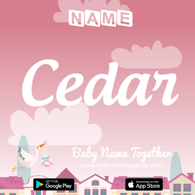 Name Cedar : Meaning, Origin & Popularity