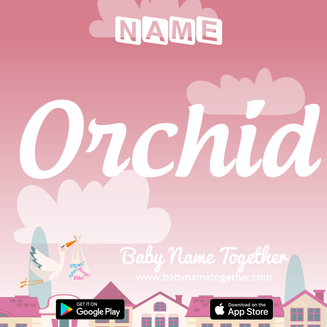 Name Orchid : Meaning, Origin & Popularity