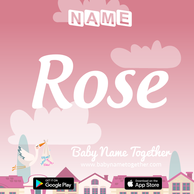 Name Rose : Meaning, Origin & Popularity
