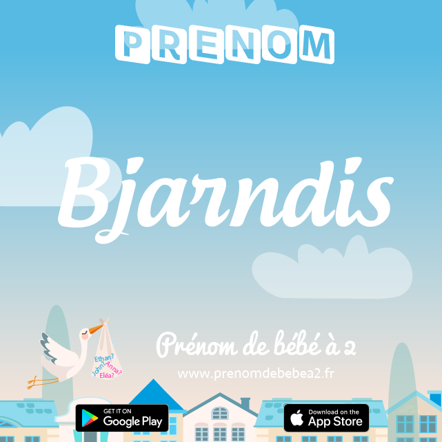 Prénom Bjarndis : Signification, origine, popularité