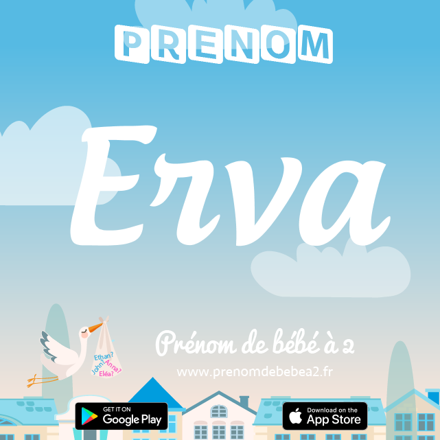 Prénom Erva : Signification, origine, popularité
