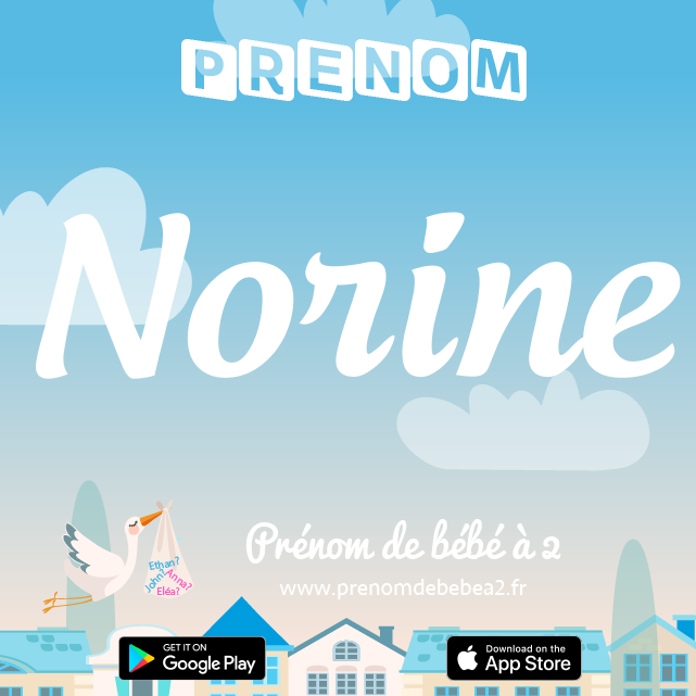 Prénom Norine : Signification, origine, popularité
