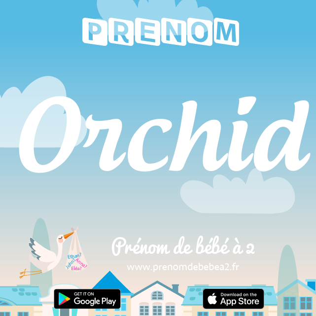 Prénom Orchid : Signification, origine, popularité