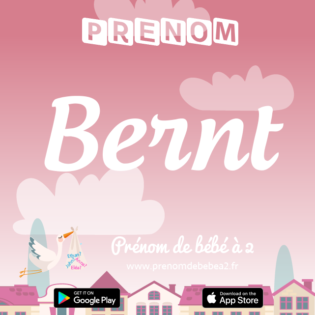 Prénom Bernt : Signification, origine, popularité