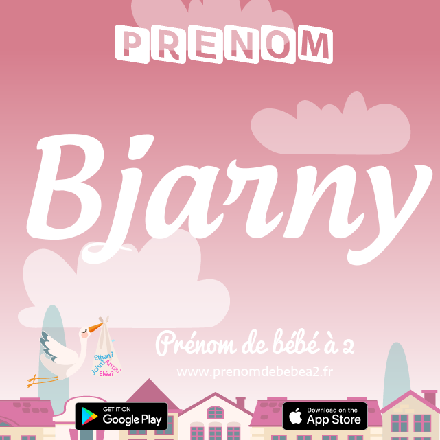 Prénom Bjarny : Signification, origine, popularité