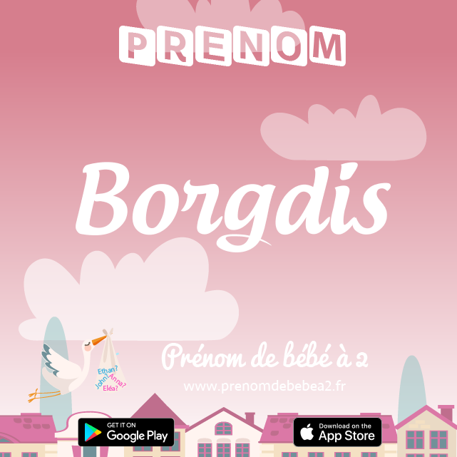 Prénom Borgdis : Signification, origine, popularité