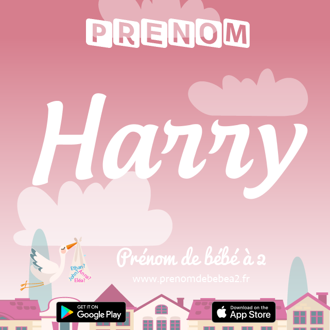 Prénom Harry : Signification, origine, popularité