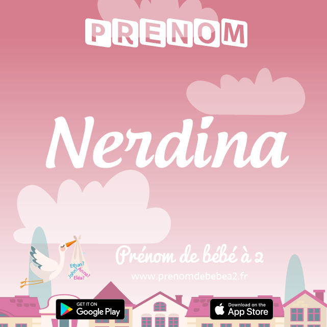 Prénom Nerdina : Signification, origine, popularité