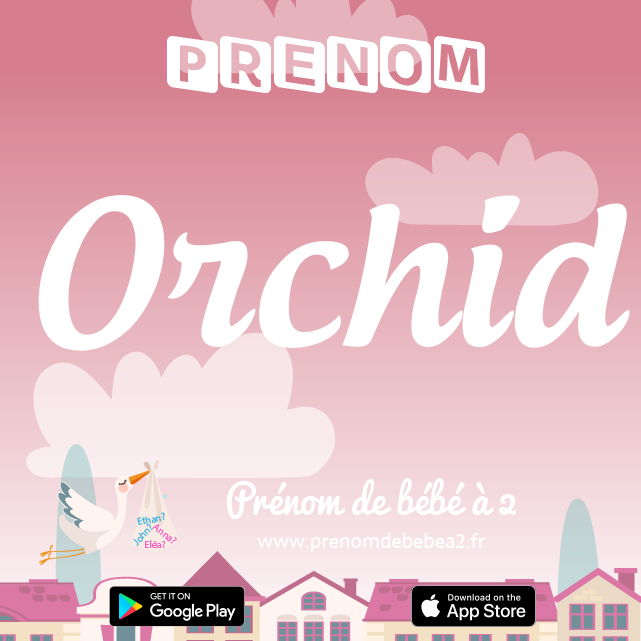 Prénom Orchid : Signification, origine, popularité