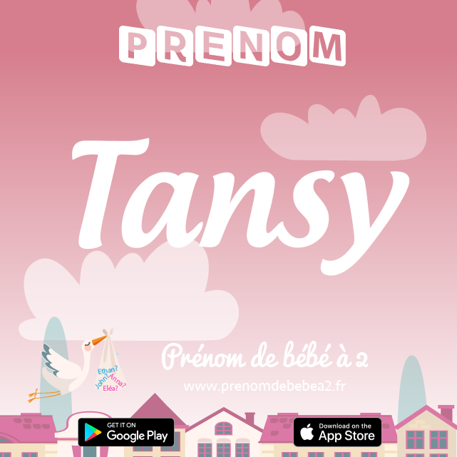 Prénom Tansy : Signification, origine, popularité