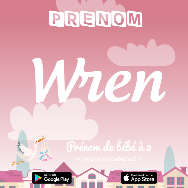 Prénom Wren : Signification, origine, popularité