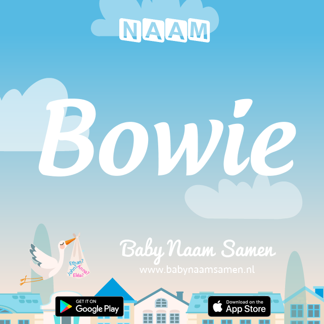 Name Bowie : Betekenis, Oorsprong, Populariteit