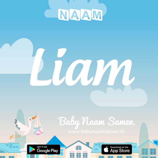 Name Liam : Betekenis, Oorsprong, Populariteit