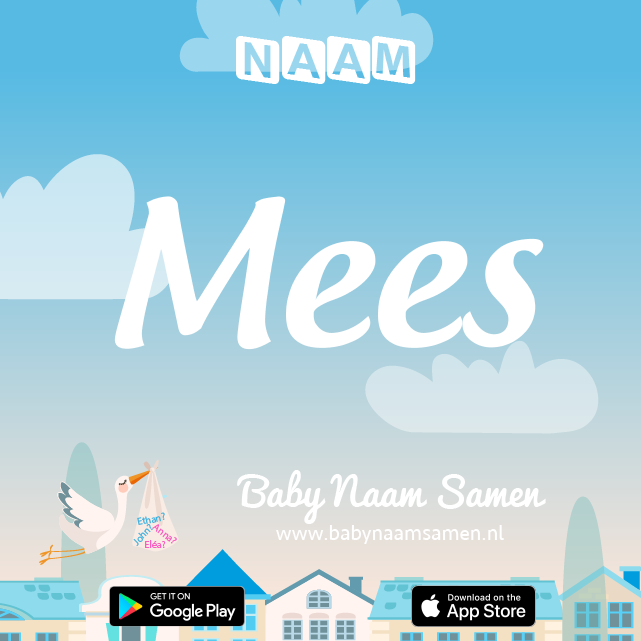 Name Mees : Betekenis, Oorsprong, Populariteit