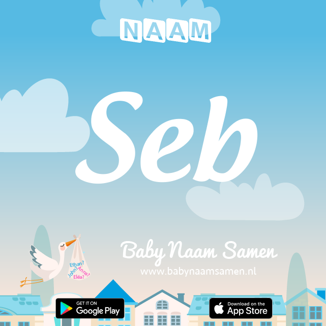 Name Seb : Betekenis, Oorsprong, Populariteit