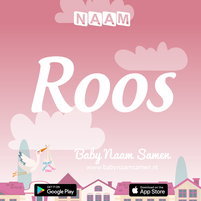 Name Roos : Betekenis, Oorsprong, Populariteit